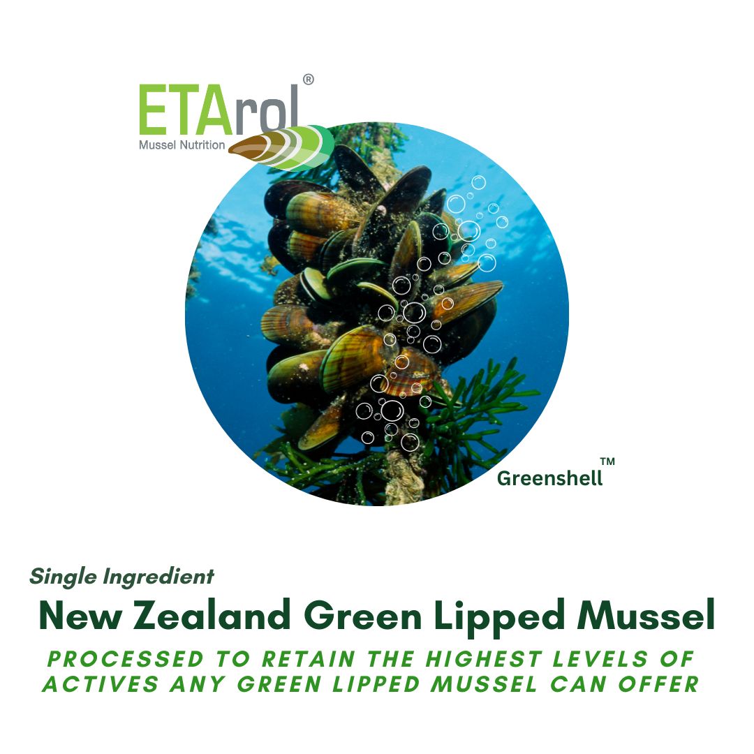 Greenshell™ Mussel Premium New Zealand Green Lipped Mussel Joint Health Supplement